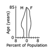 Graph showing percentage of population on the x axis and age in years on the y axis.